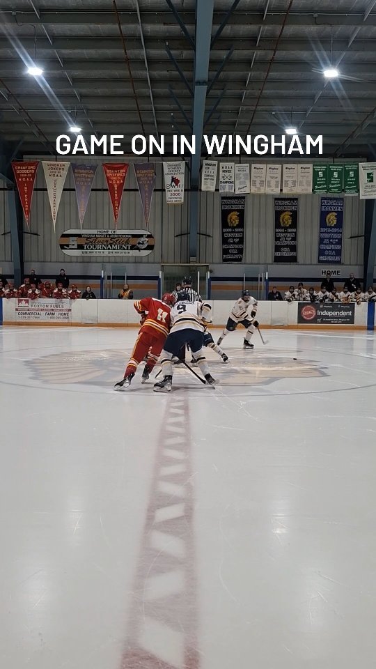 LET'S GO, TINMEN! 🔵🟡